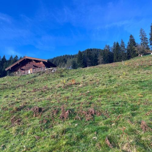 Wandertag Herbst 2024 17