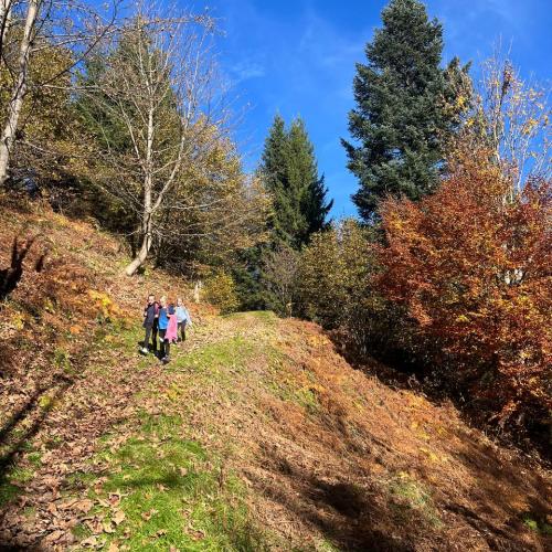 Wandertag Herbst 2024 22