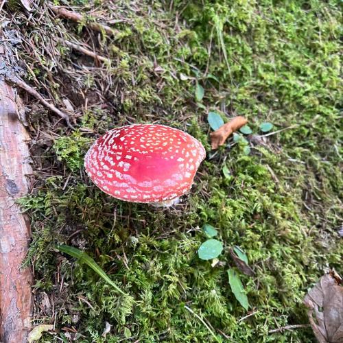 Wandertag Herbst 2024 26