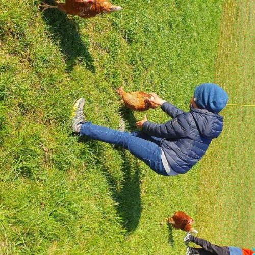 Besuch am Bauernhof 2025 7