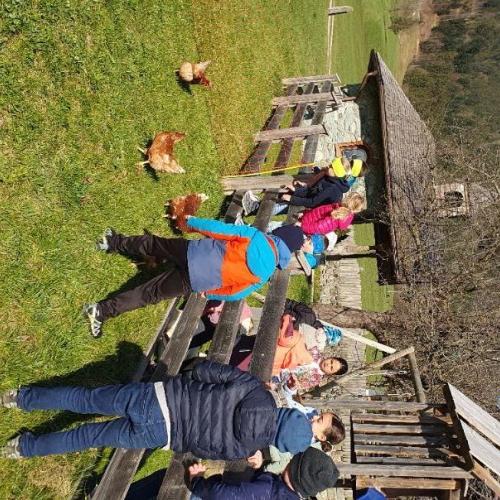 Besuch am Bauernhof 2025 6