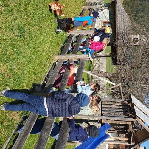 Besuch am Bauernhof 2025 2