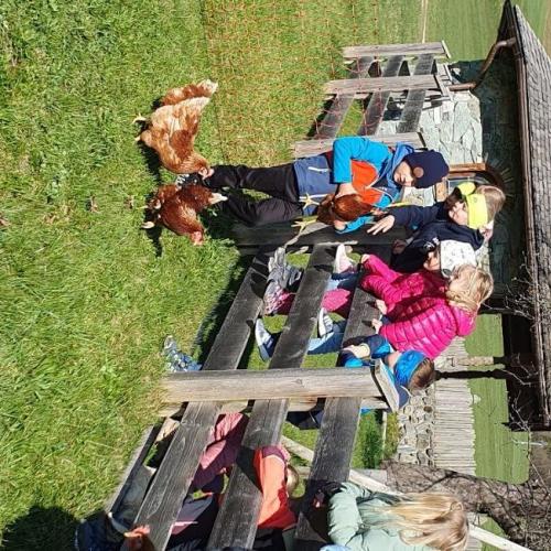 Besuch am Bauernhof 2025 1