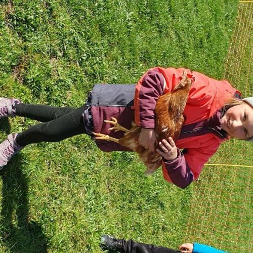 Besuch am Bauernhof 2025 4