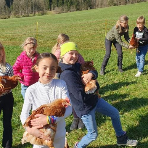 Besuch am Bauernhof 2025 5