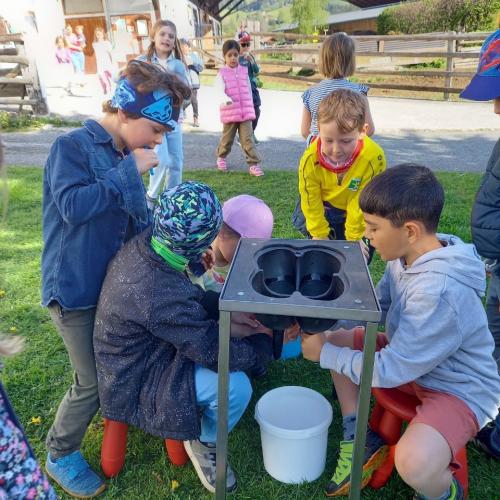 Besuche am Bauernhof 2025 2