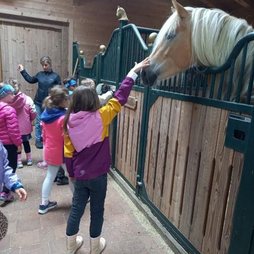 Besuche am Bauernhof 2025 4