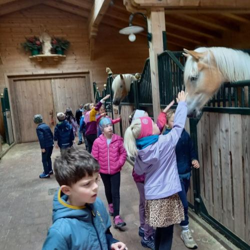 Besuche am Bauernhof 2025 7