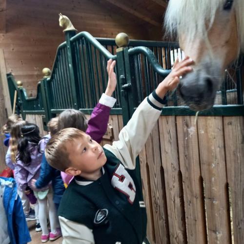 Besuche am Bauernhof 2025 8