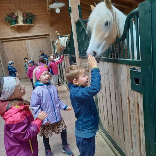 Besuche am Bauernhof 2025 10