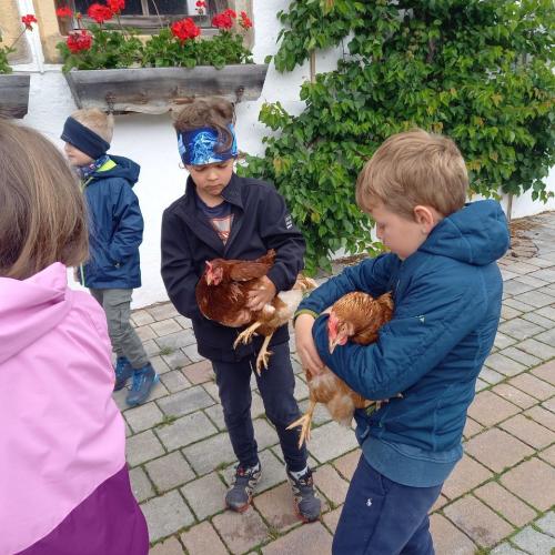 Besuche am Bauernhof 2025 15