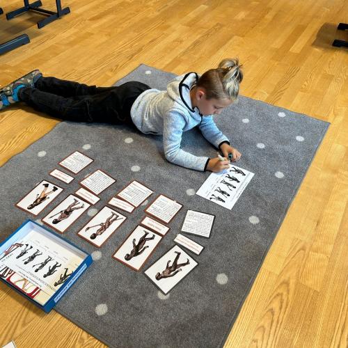 Vom Großen zum Kleinen 2025 5