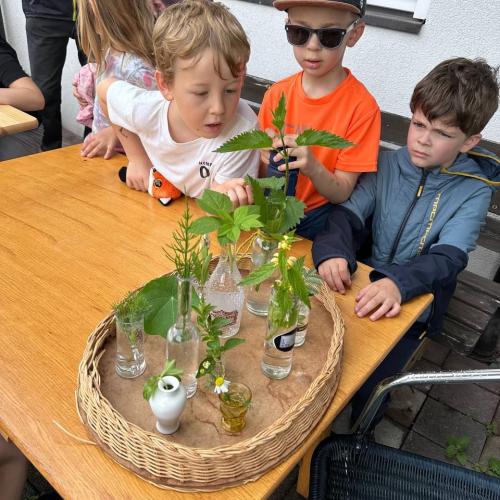 Besuch bei Frau Reiter 6