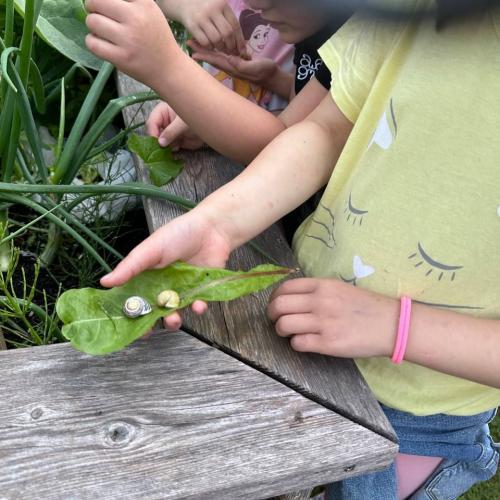 Besuch bei Frau Reiter 7