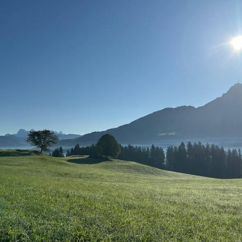 Herbstwandertag 2025 12